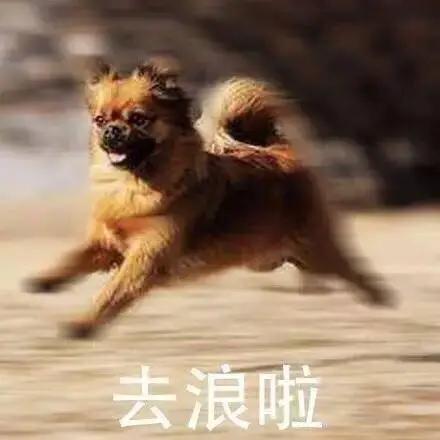 一滴眼药水就能改变近视,眼药水对近视增长有用吗