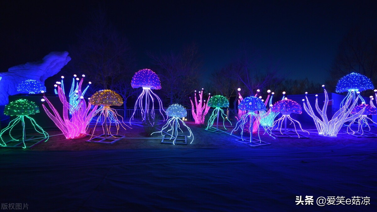 冬奥会鸟巢舞台屏幕,冬奥会鸟巢开幕式