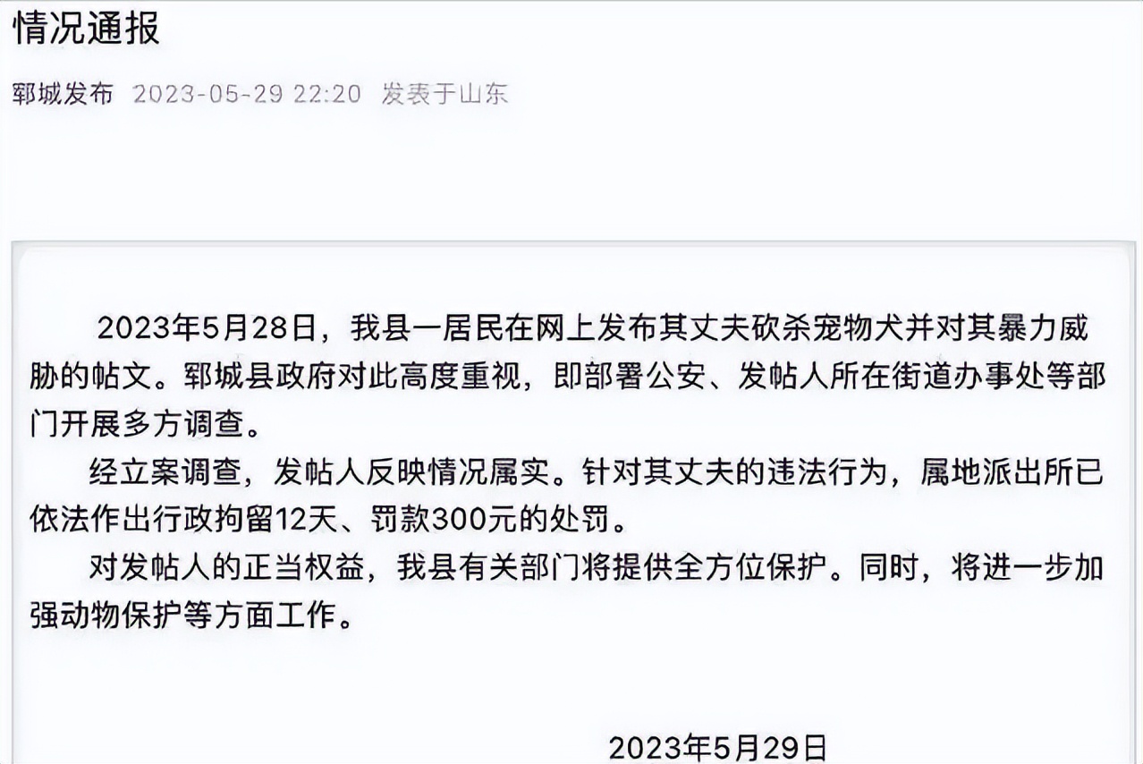 砍杀狗事件处罚,家暴杀狗事件