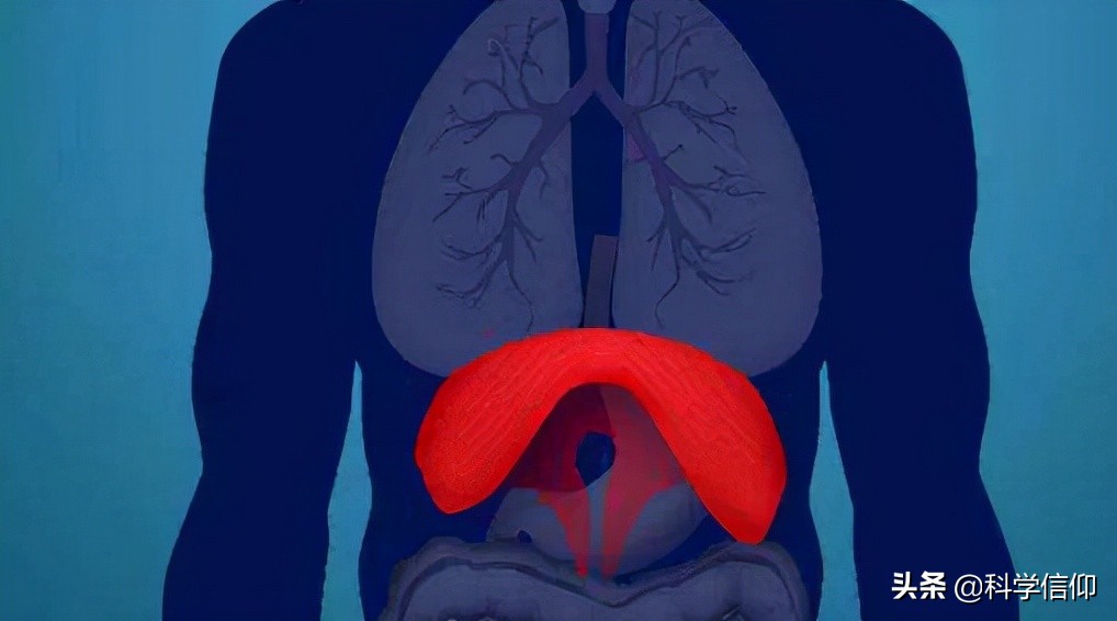 打鼾呼吸困难原因,打鼾呼吸不畅缺氧发炎