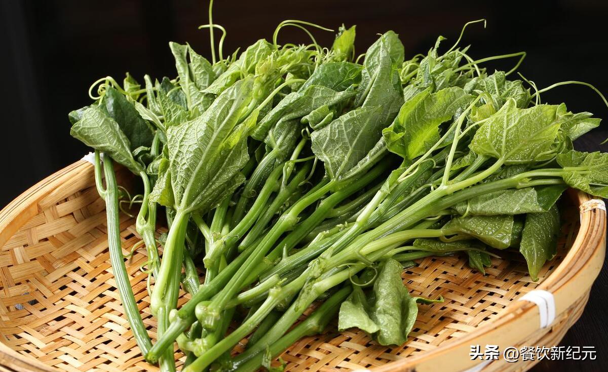 小暑养生小窍门,最全小暑养生食谱