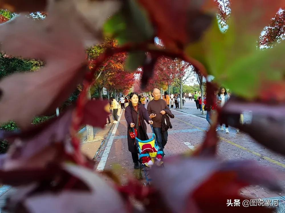 获奖摄影比赛作品,摄影比赛获奖名单公示