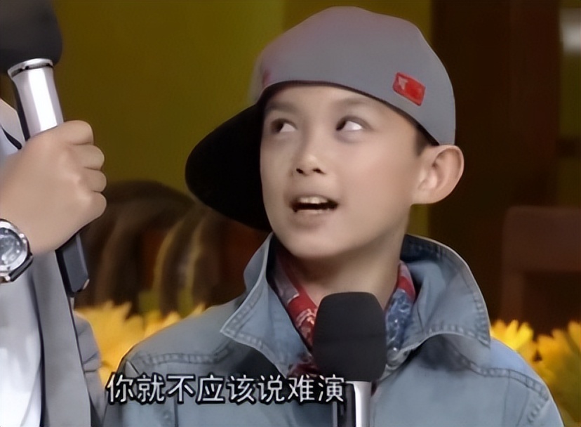 说出15个川渝地区的男明星,巴蜀美男子