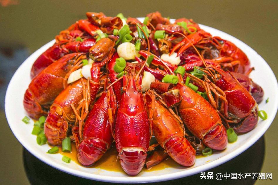 网红小龙虾现在多少钱一斤,小龙虾今日价格表网红