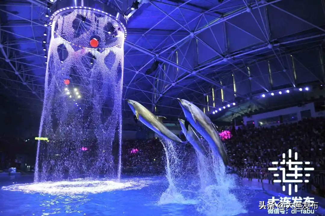 大连端午节一日游好玩的地方推荐,端午旅游景点大连