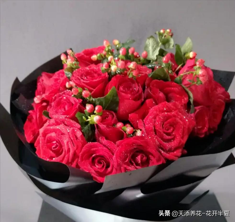 18朵粉色玫瑰花代表什么含义,5朵玫瑰花的寓意和花语是什么