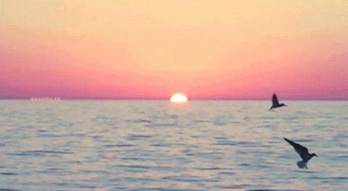 金融圈年终总结表情包,2023金融圈年终总结表情包版