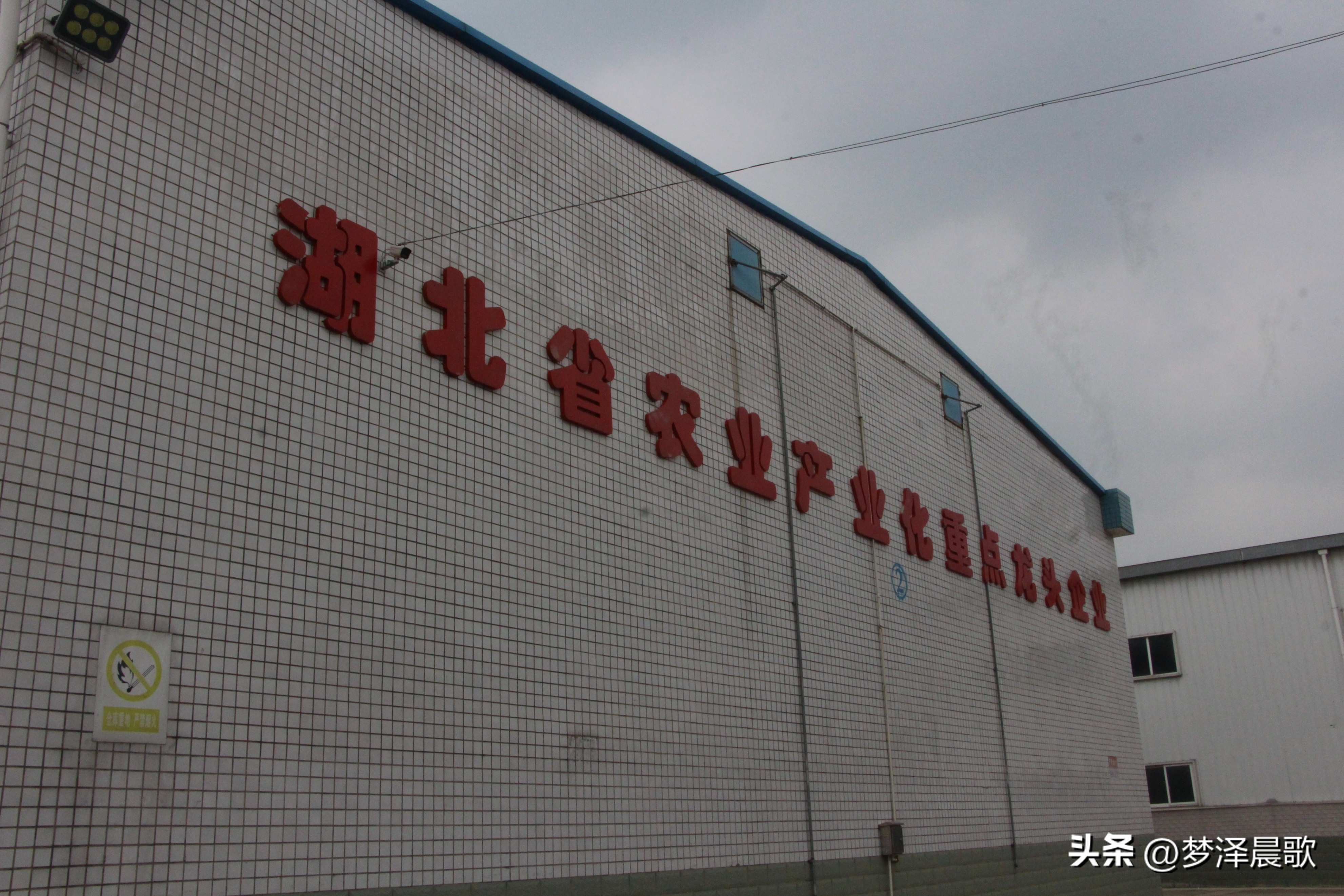 云梦好找工作吗,云梦未来的创业项目