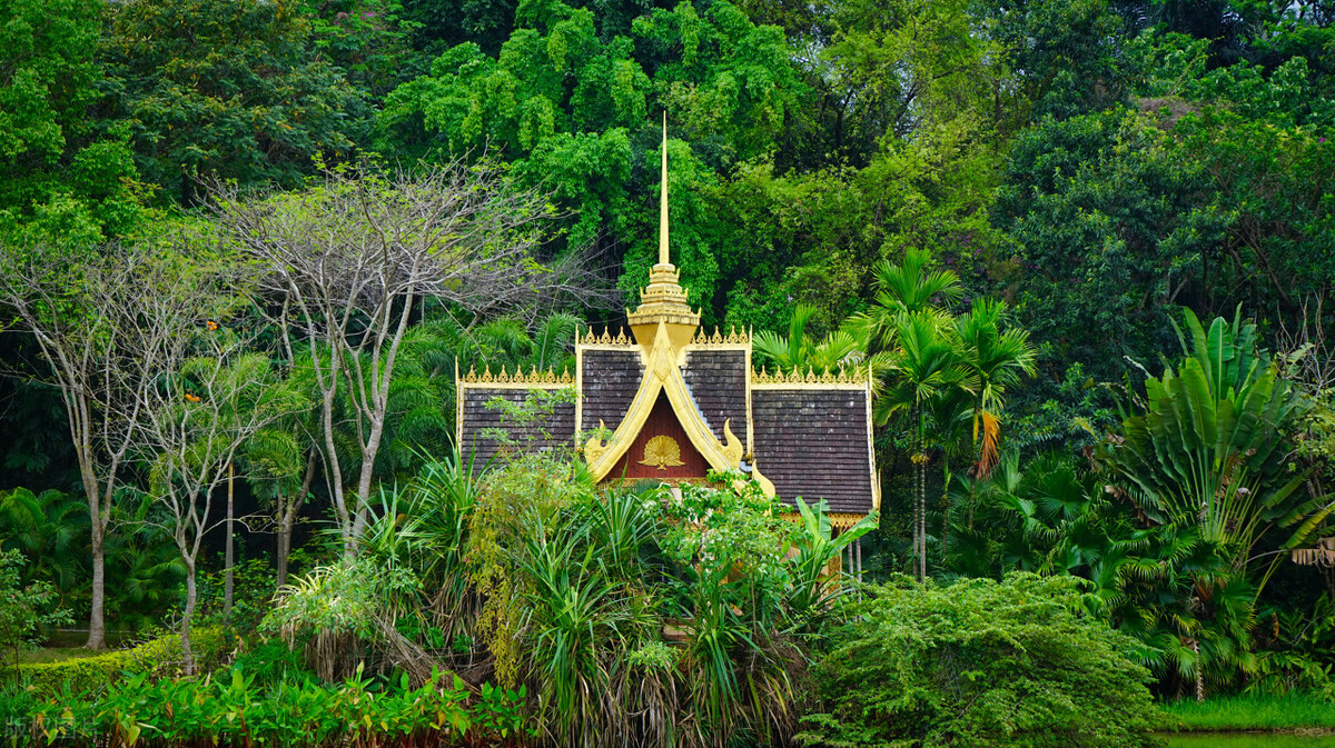 西双版纳和大理房价对比,西双版纳和海南的房价哪个好