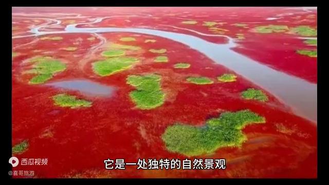 东营这个地方怎么样,东营这个城市有没有前途