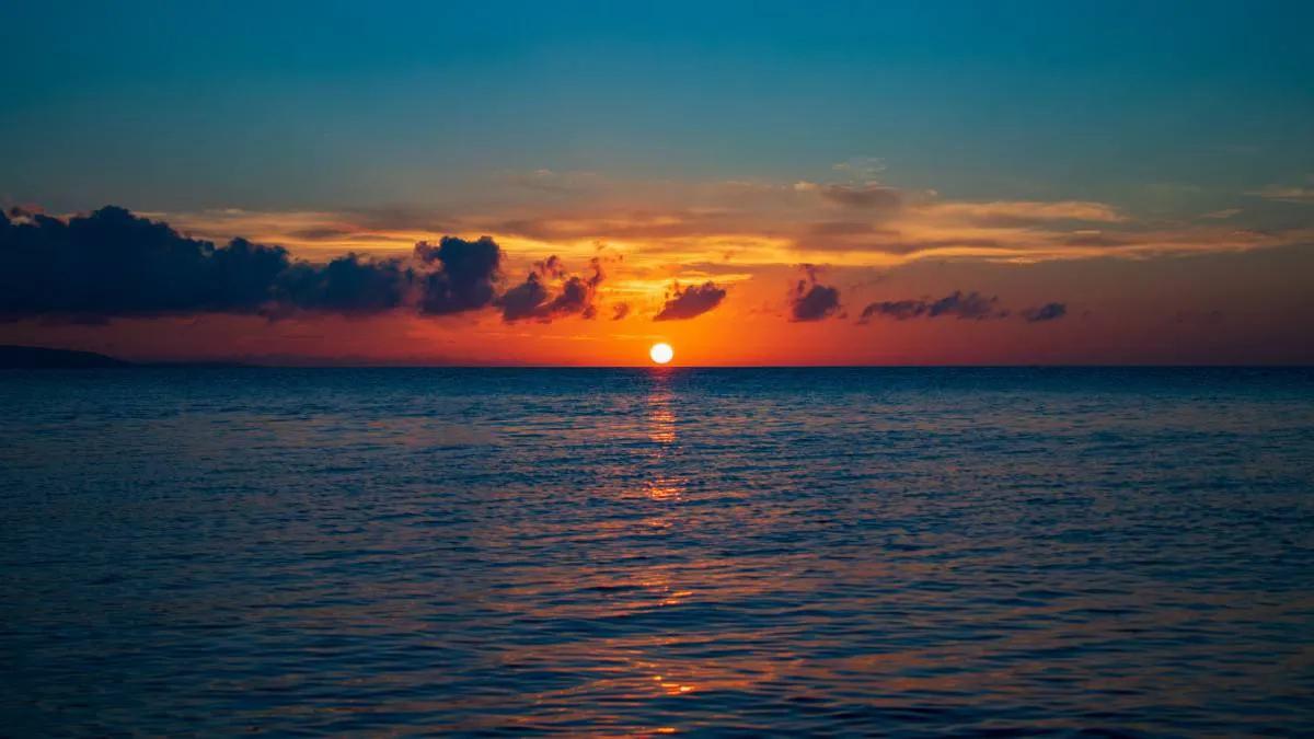 麋鹿骑着麋鹿迷路了,麋鹿说我迷路了