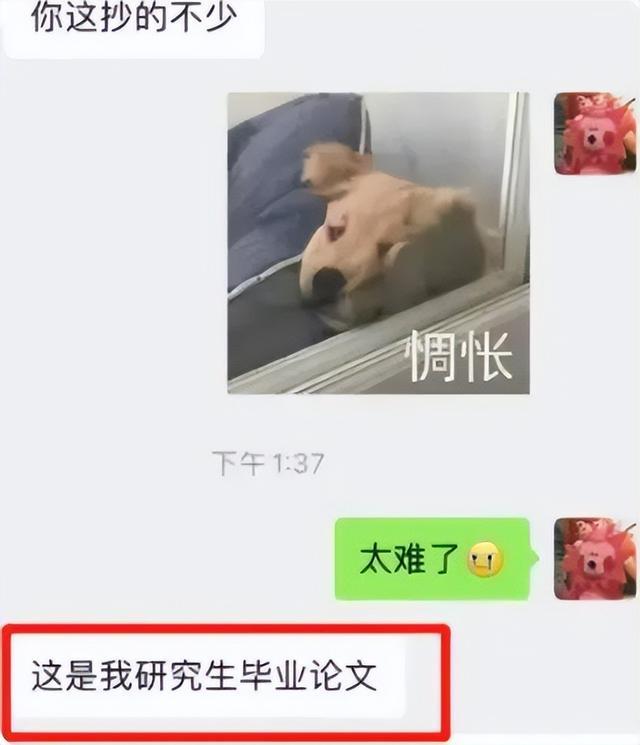 研究生导师和研究生聊天记录,研究生跟导师斗智斗勇的聊天记录