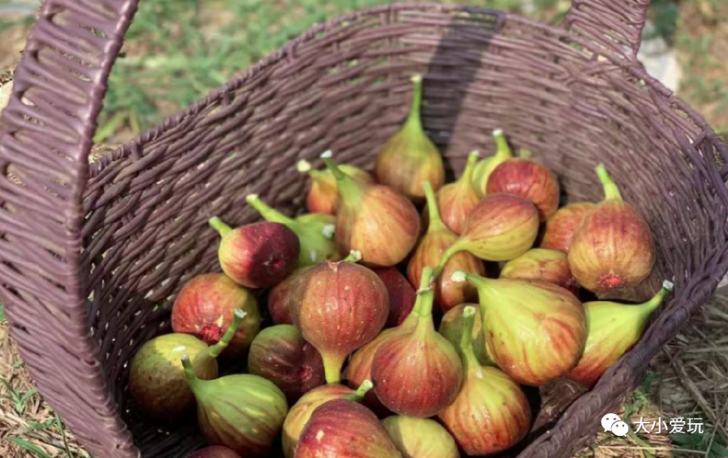 超全北京游玩攻略,国庆京郊一日游