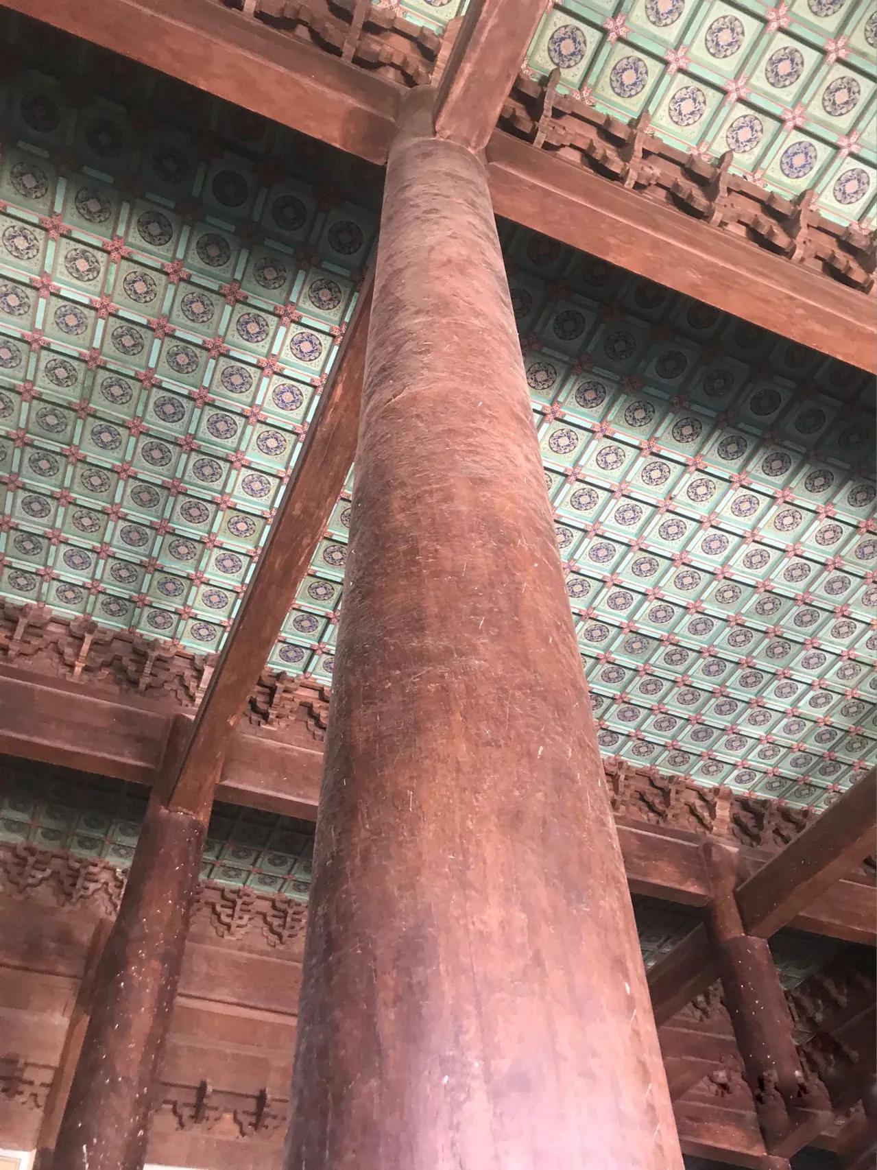 农村发现一棵金丝楠木价值一个亿,最贵的房屋价值八个亿金丝楠木