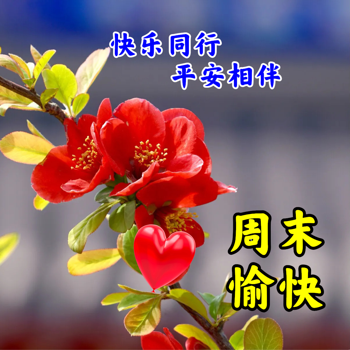 周末早安简单一句话和图片,周一早安最美的句子图片