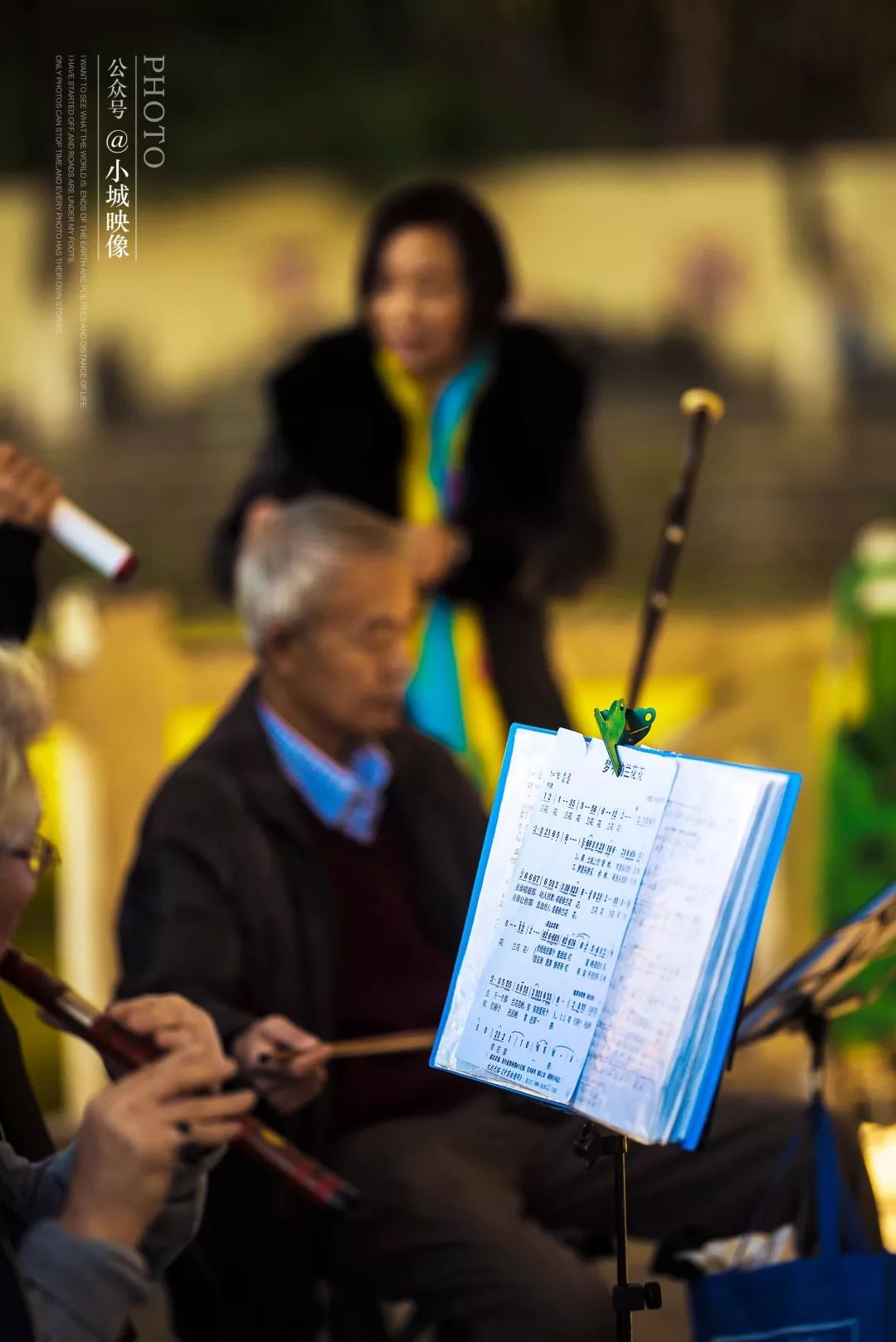 攀枝花是一种什么花,什么是攀枝花铁树