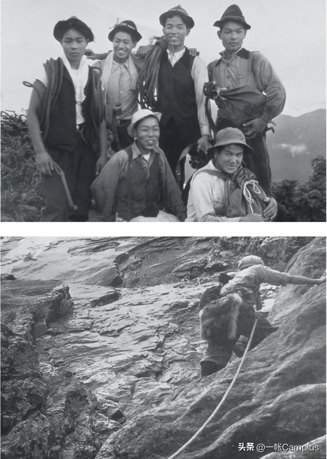 snowpeak发展史,snowpeak上海