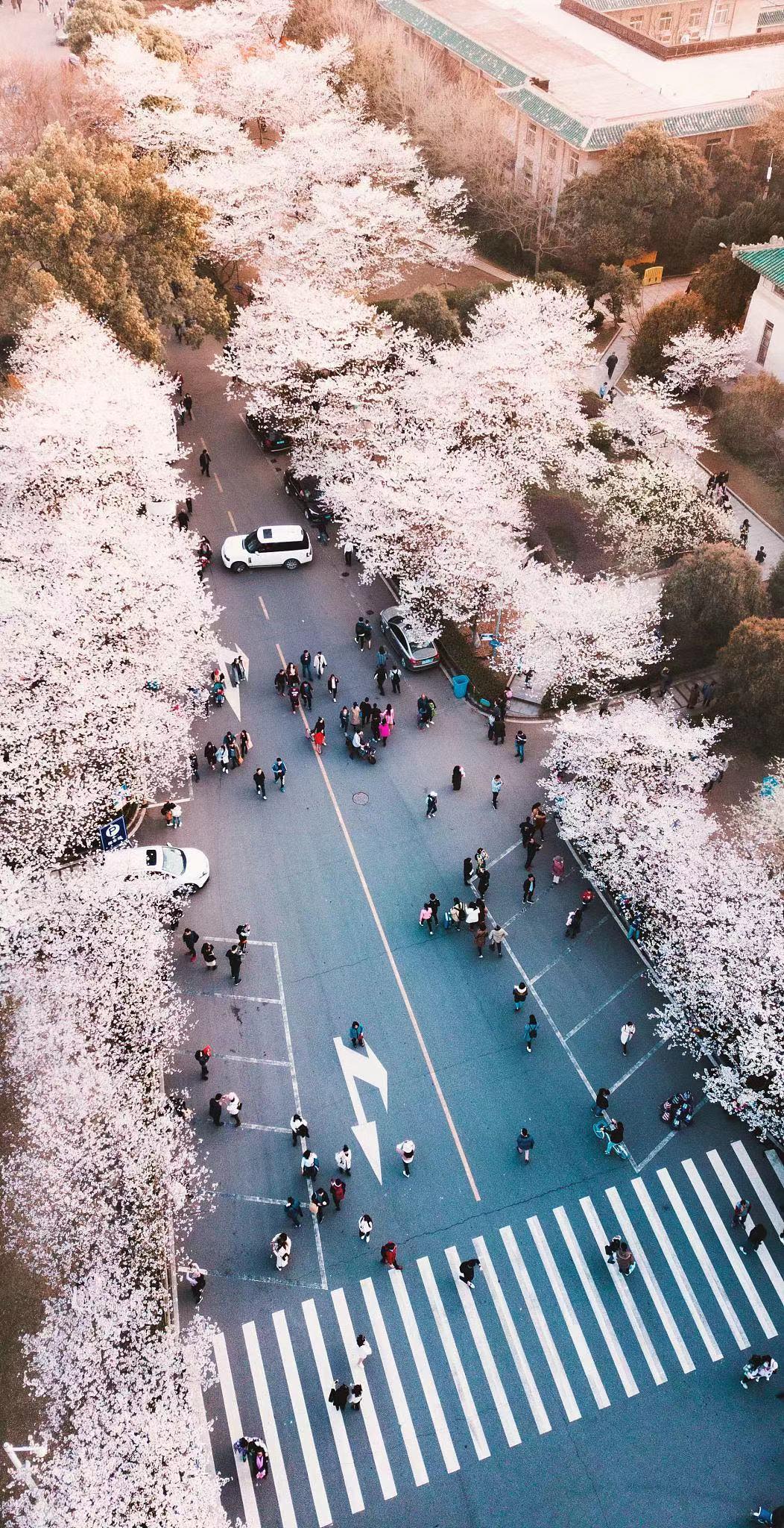 春季赏花景点有哪些,雅安周边春天赏花一日游最佳景点