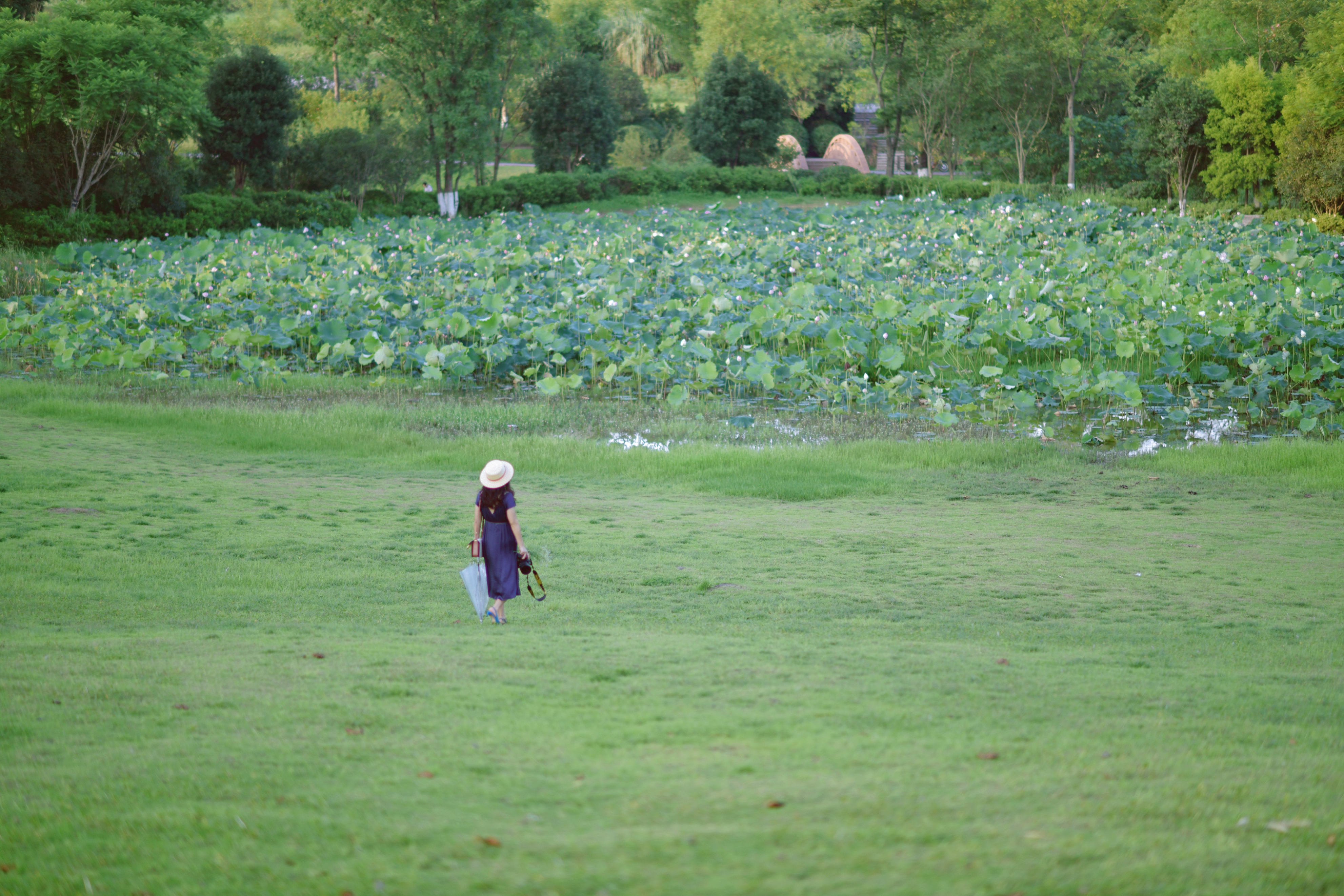 重庆市赏花胜地游玩线路,重庆渝北周边赏花地点推荐