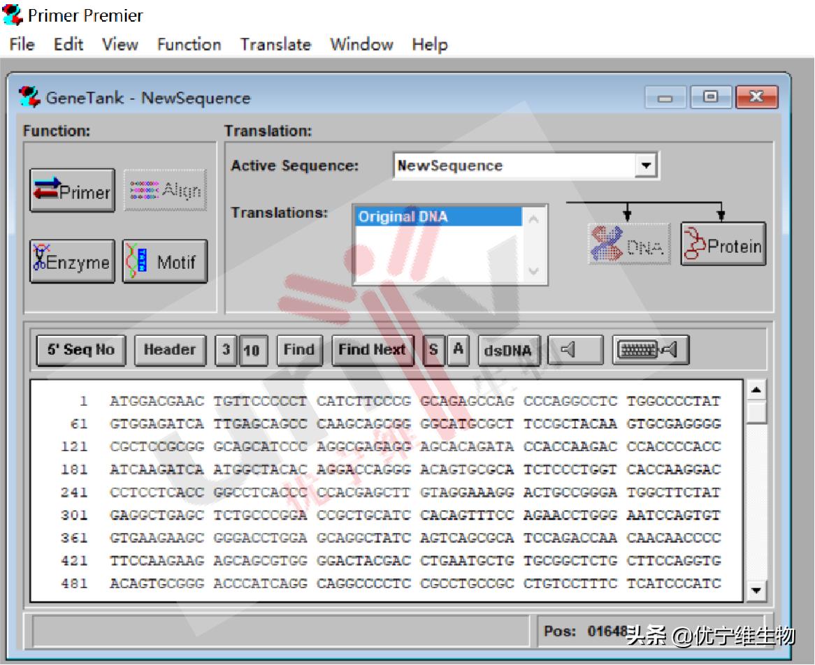 真核原核生物细胞壁,真核生物标记基因