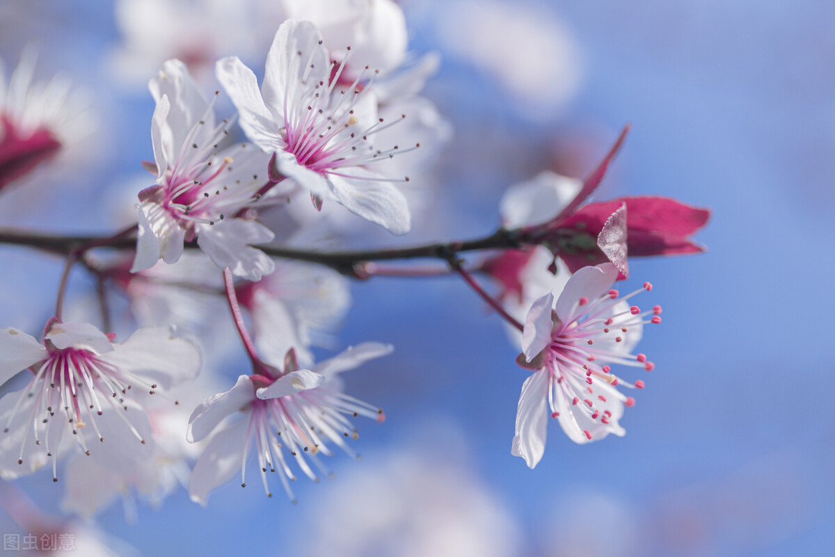 清都的原创诗词，4年作品合集，用文字记录生活