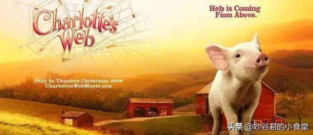 假期推荐孩子看的高质量的电影,假期电影推荐排行榜前十名