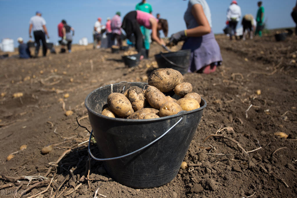 有没有讨厌秋天的人,我讨厌秋天