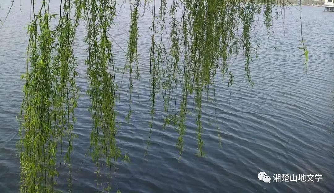 母亲是文盲沟通很困难,妈妈是文盲想认字