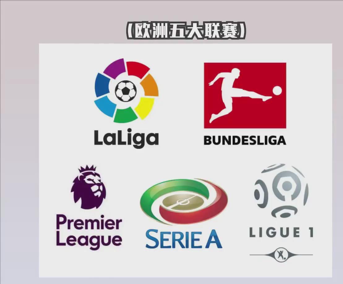 每个球员的巅峰身价排名,身价多少算顶级球星