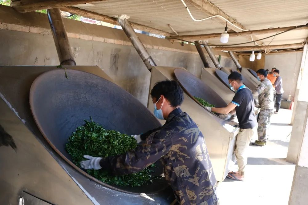 共创乡村振兴发展新格局,全面推进乡村振兴打造五美乡村