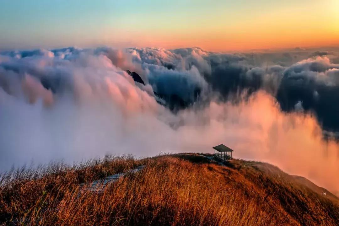 高考散文知识点归纳总结,散文知识点归纳整理教案