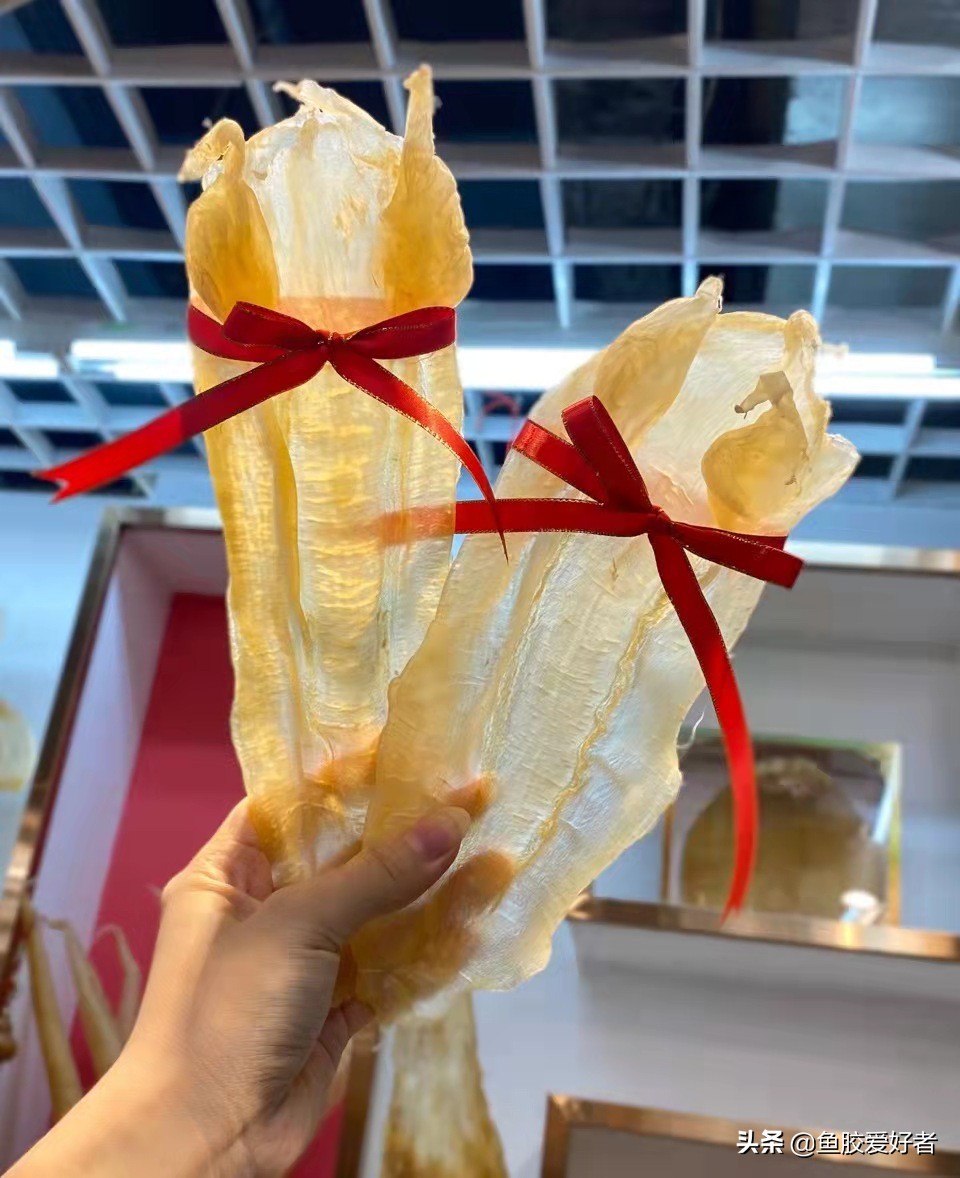 鱼胶正确的选择方法有哪些,鱼胶怎么挑选才是好的