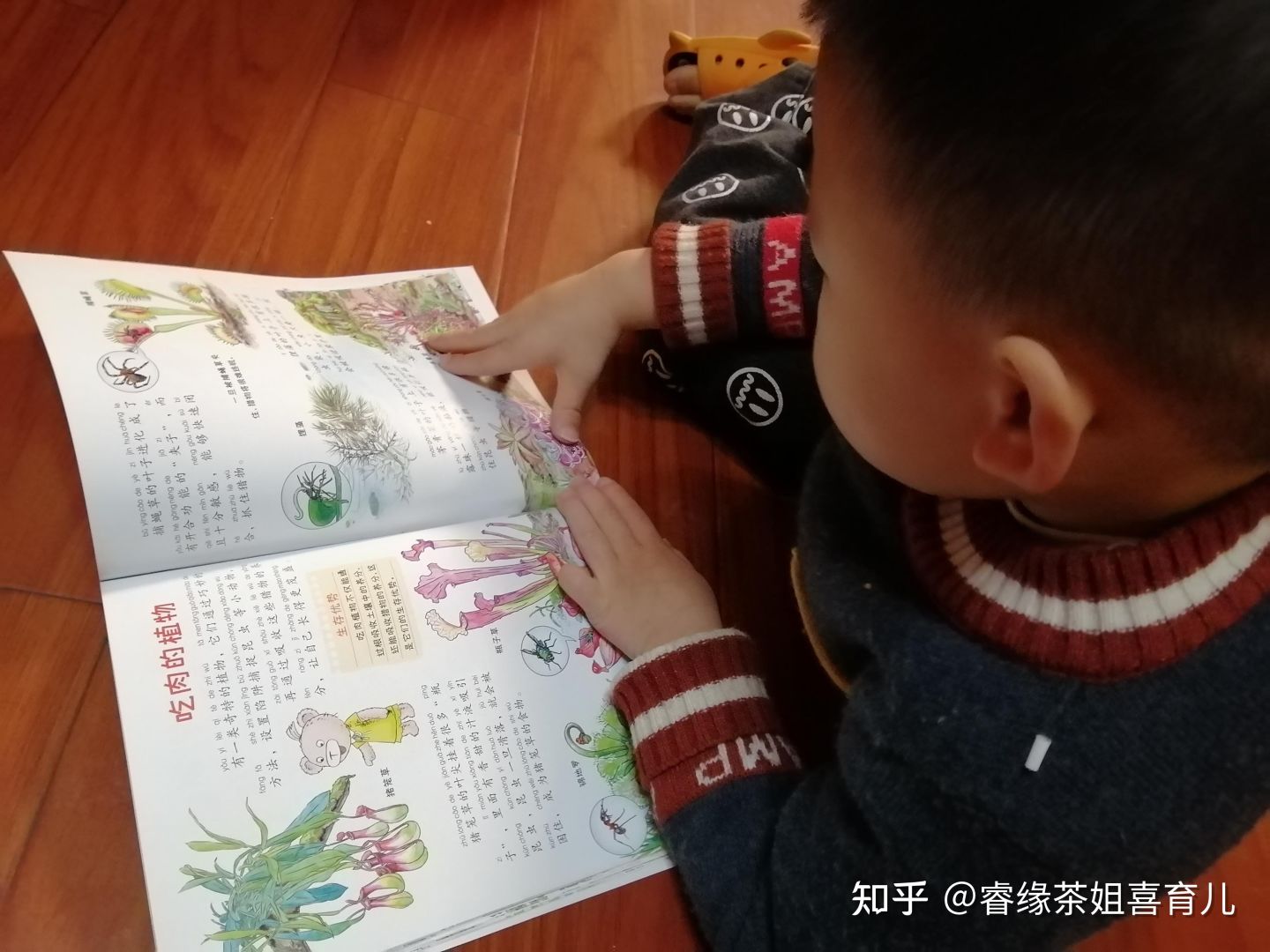 暑假作业出现昆虫类的题目,孩子看都不要看拒绝做这类题