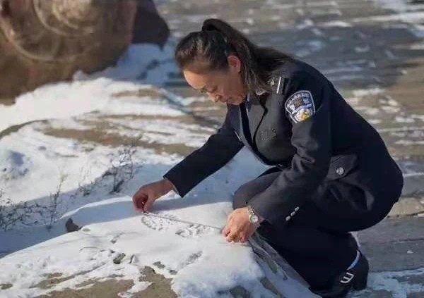 李昌钰送给董艳珍什么礼物,李昌钰高薪聘请董艳珍