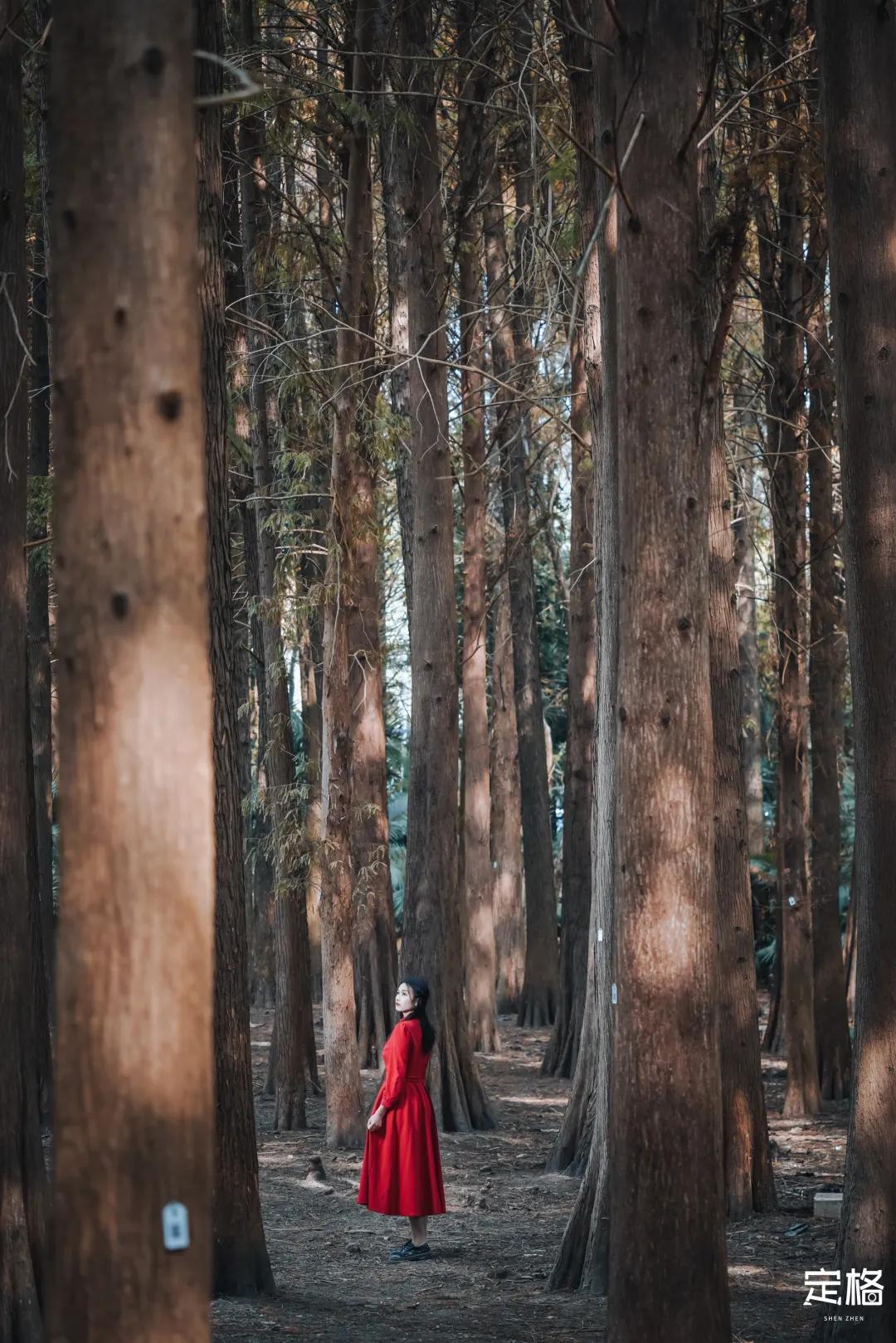 娲箹鍏洯娣卞湷,娲箹鍏洯鑽疯姳