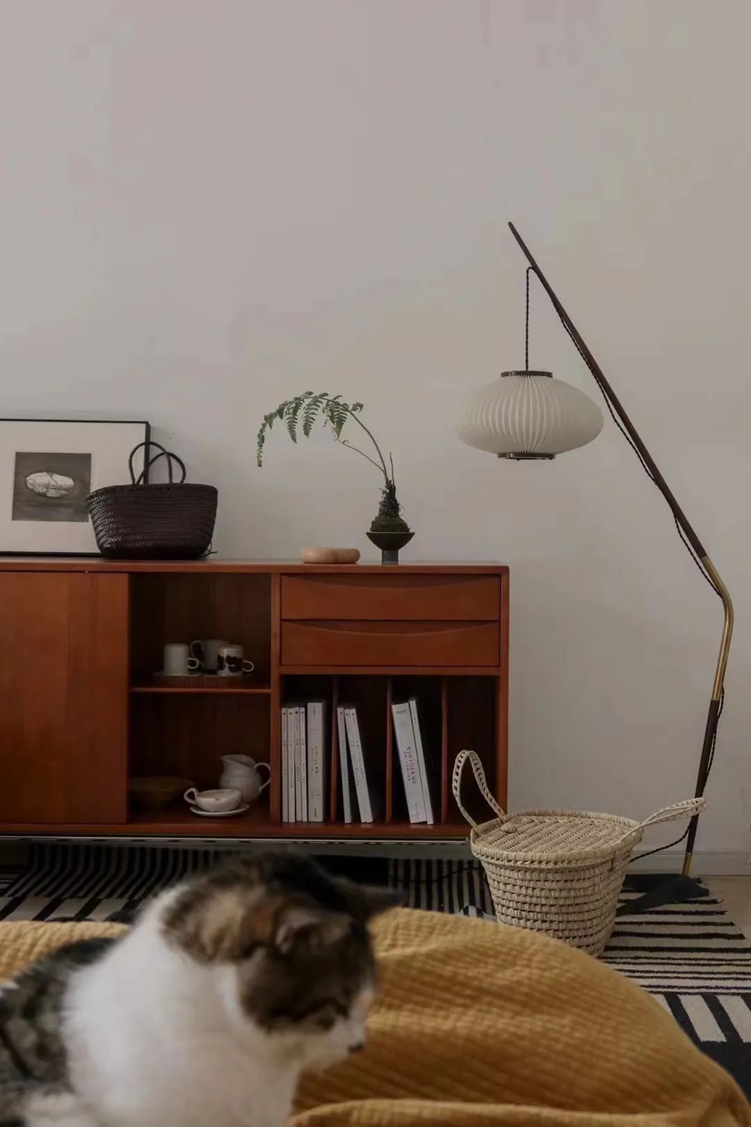 探访100个年轻人的家,居家办公如何克服父母的干扰