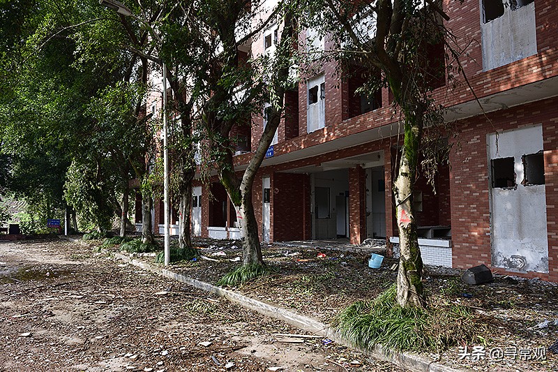 探秘重庆这座消失的“宇宙”大学，到处是荒废的宿舍楼