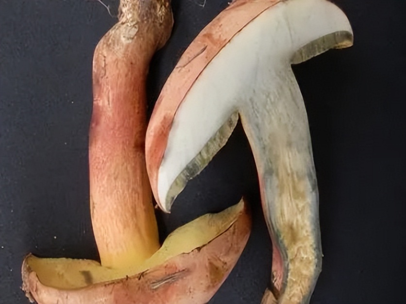 吃了见手青菌后能不能吃冰棍,吃了见手青刺身会怎么样