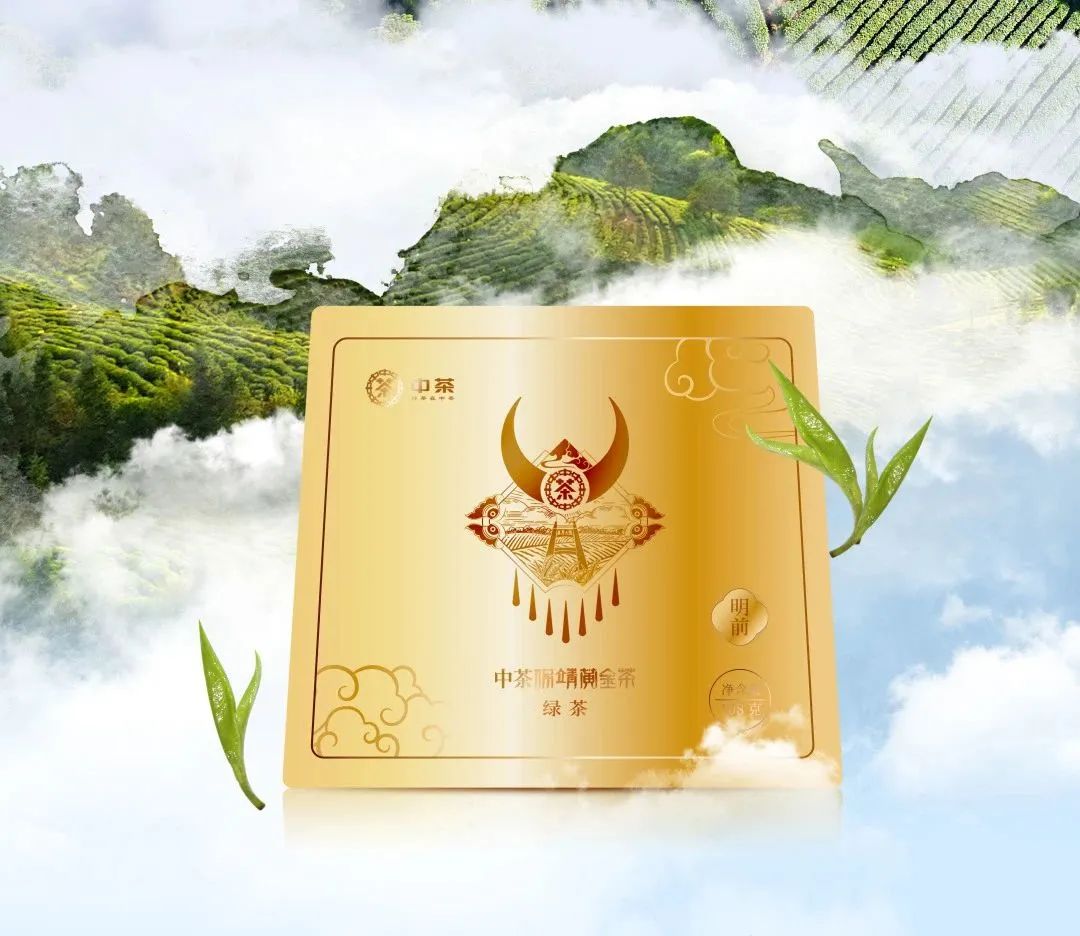 保靖黄金茶营养价值,保靖黄金1号茶跟2号茶的区别