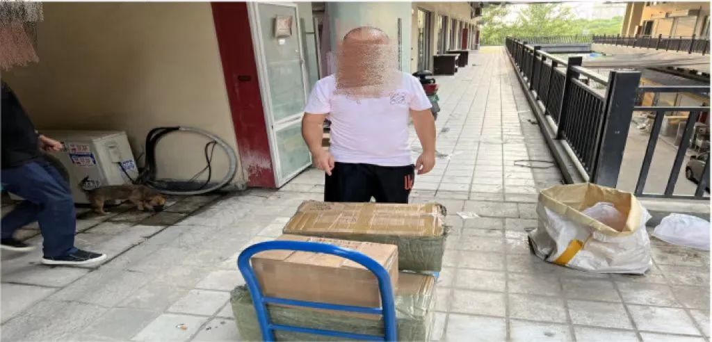 网警打假记,网警打击犯罪案例