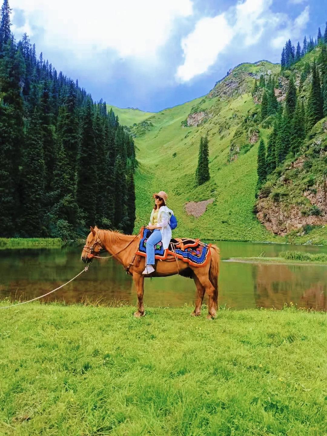穿越森林探险视频,穿越森林探险之旅