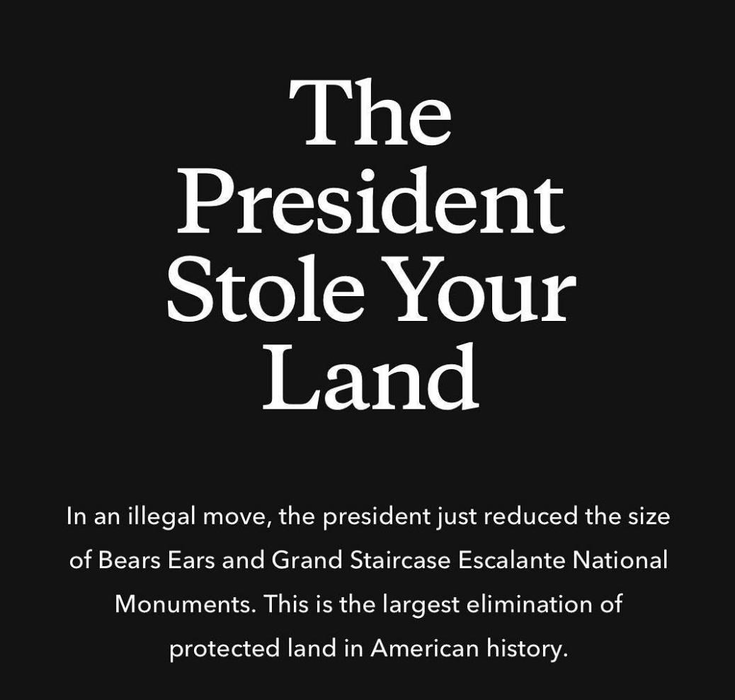 patagonia的总裁,patagonia设计师