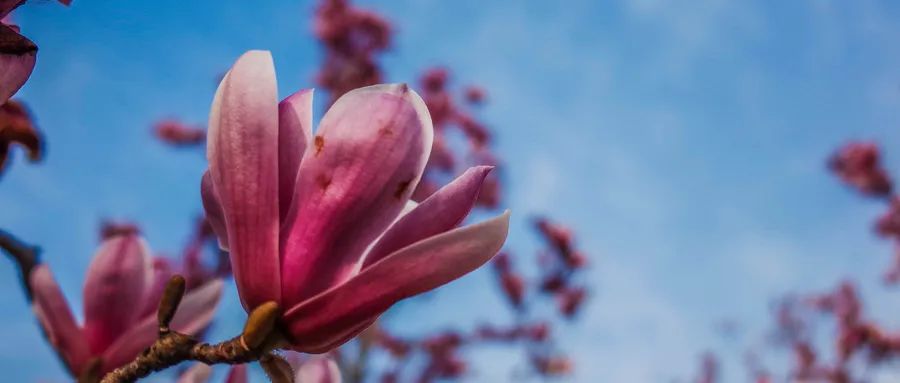 十分顽固的鼻炎偏方,各种方法都治不好的鼻炎怎么办