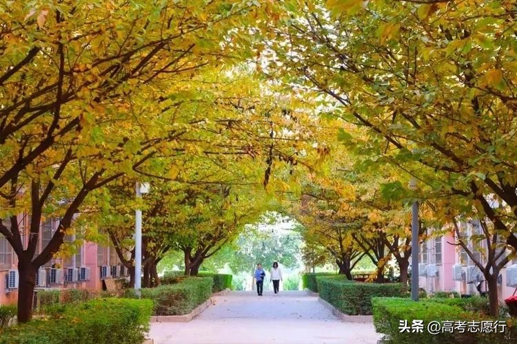 统计学是热门专业,统计学就业大热