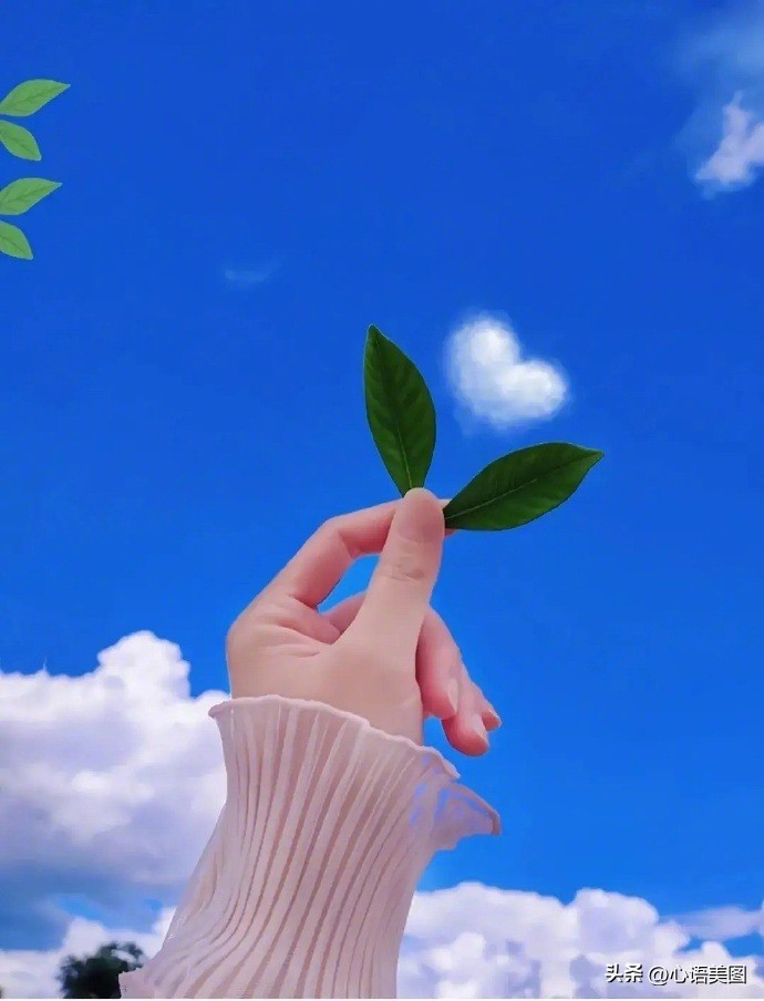 经典热门文案人生感悟短句,一句吸引人的文案句子简短