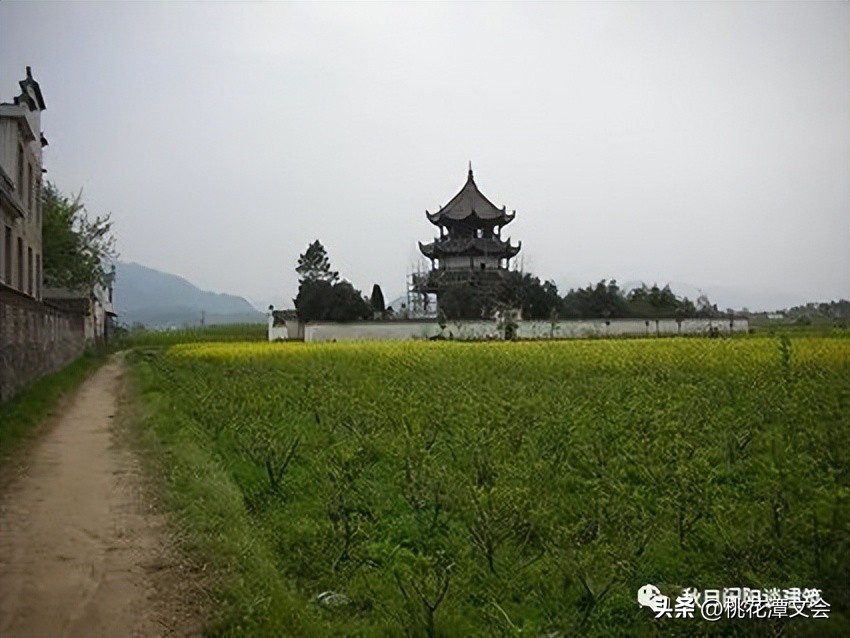关于泾川桃花潭的书,泾川桃花潭