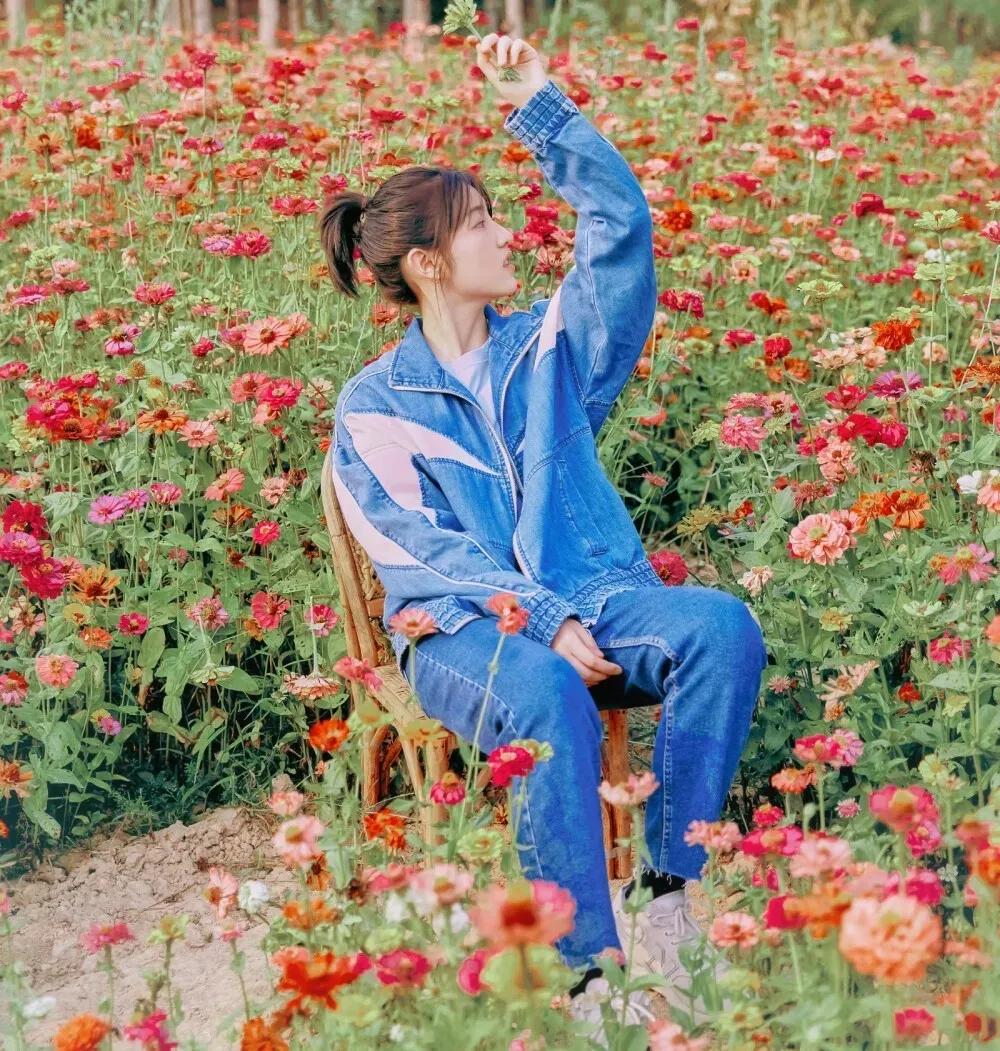 爱豆模板卡点张子枫,张子枫彭昱畅情侣头像