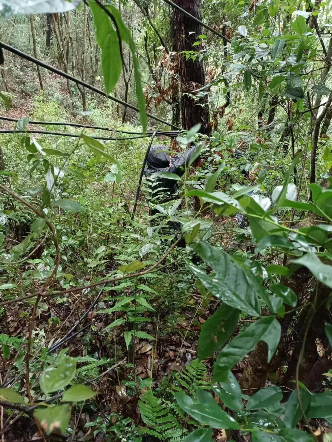 浙江联通：今年最强，“梅花”登陆！