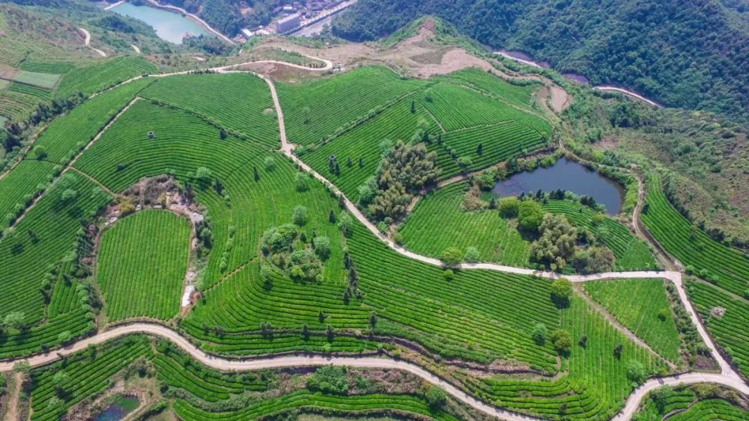 什么是天台,什么是天台记忆