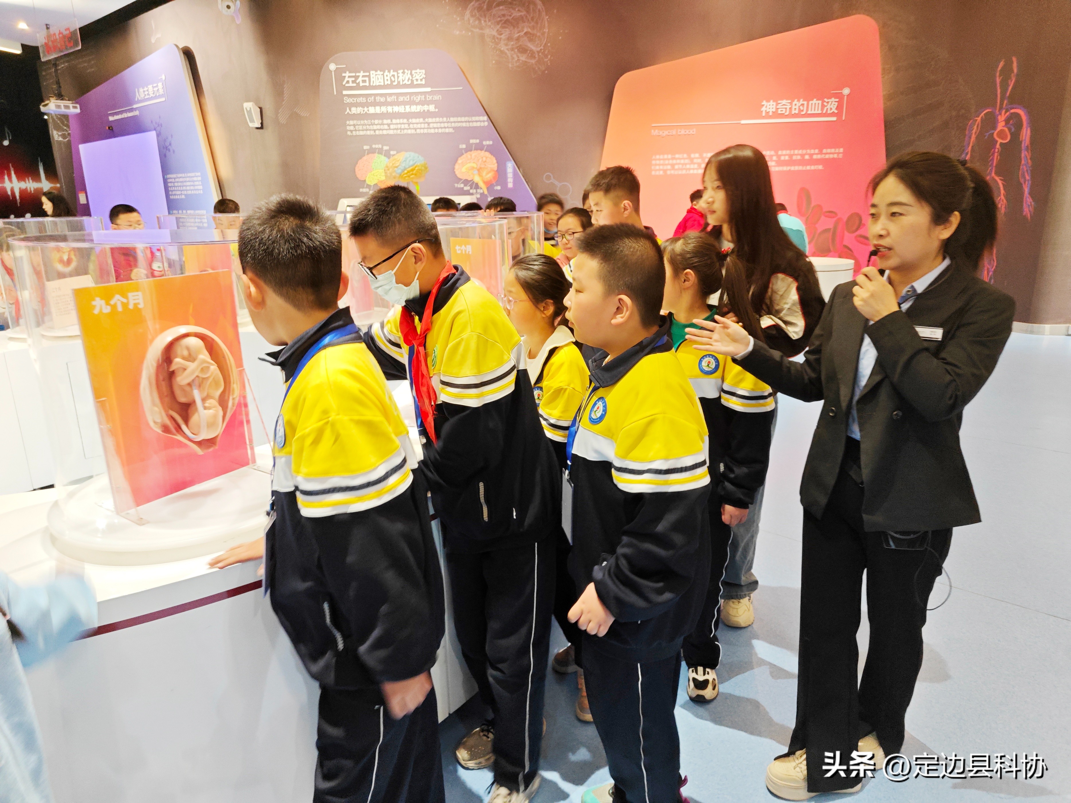 榆林市第十四届知识产权杯,榆阳区青少年科技创新大赛